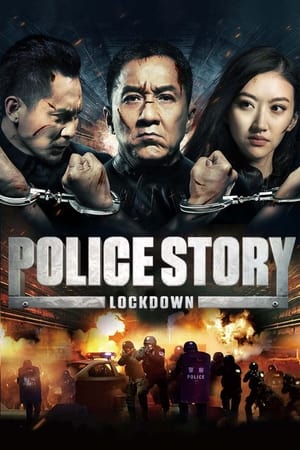 Police Story: Lockdown (2013) Hindi Dual Audio 480p BluRay 380MB