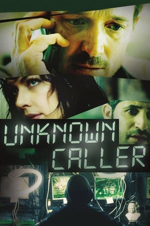 Unknown Caller 2014 Hindi Dual Audio 480p Bluray 300MB ESubs